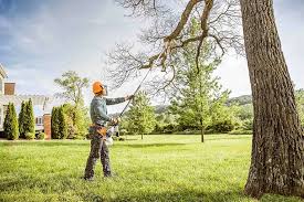 Best Soil Testing and Treatment  in Rolling Fork, MS