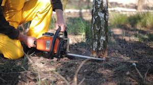 Best Lawn Irrigation Installation and Maintenance  in Rolling Fork, MS